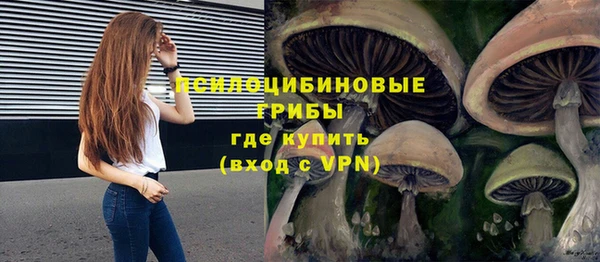 таблы Алзамай