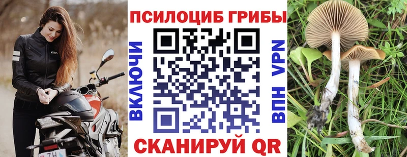 нарко площадка состав  Ишим  Псилоцибиновые грибы MAGIC MUSHROOMS  hydra ONION 